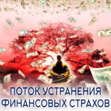 Поток устранения финансовых страхов