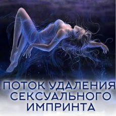 ПОТОК УДАЛЕНИЯ СЕКСУАЛЬНОГО ИМПРИНТА