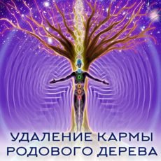 Настройка: "УДАЛЕНИЕ КАРМЫ РОДОВОГО ДРЕВА"