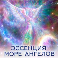 Настройка: "ЭССЕНЦИЯ МОРЕ АНГЕЛОВ"