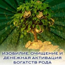 "ИЗОБИЛИЕ, ОЧИЩЕНИЕ И ДЕНЕЖНАЯ АКТИВАЦИЯ БОГАТСТВ РОДА"