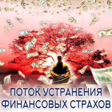Настройка: "ПОТОК УСТРАНЕНИЯ ФИНАНСОВЫХ СТРАХОВ"