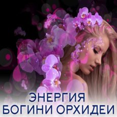 Настройка: "ЭНЕРГИЯ БОГИНИ ОРХИДЕИ"