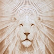 Медитация Врата Льва